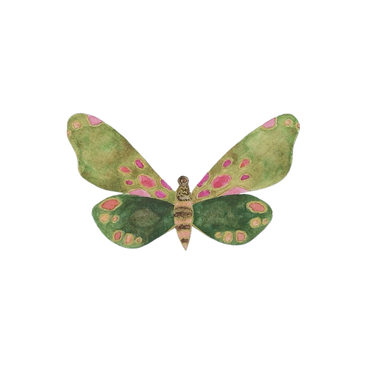 Green Fly