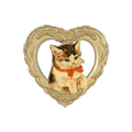 Kitten