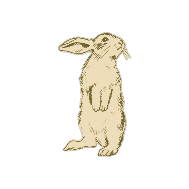 Rabbit