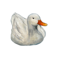 Swan