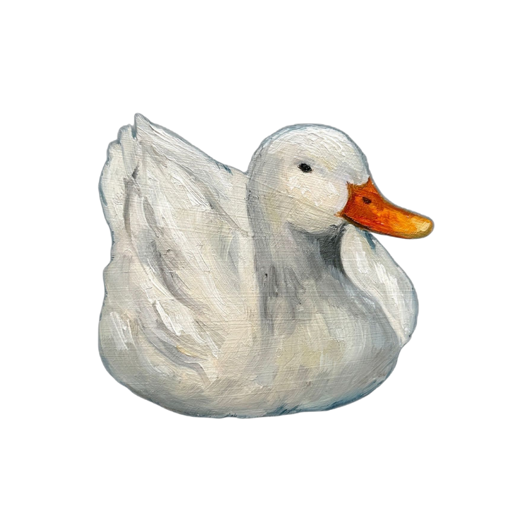 Swan