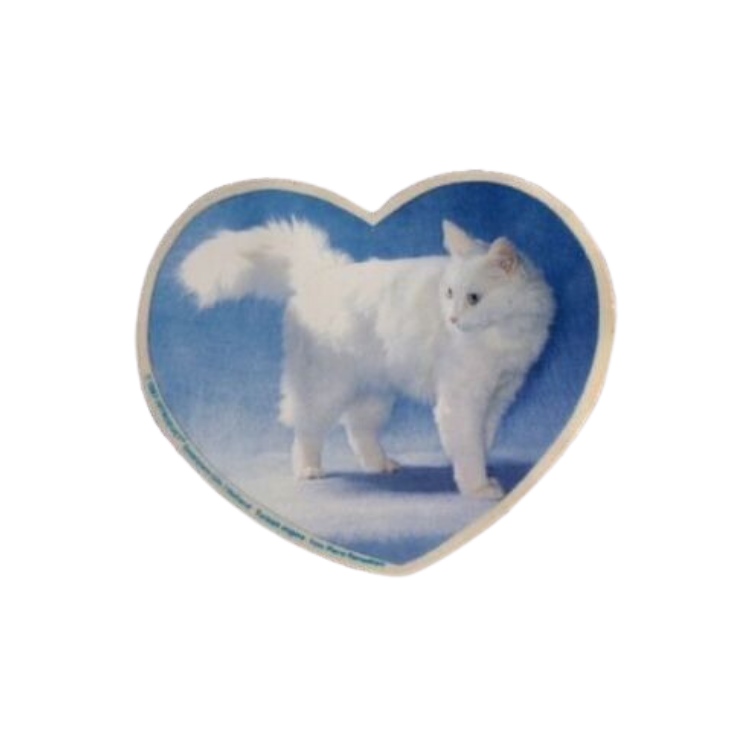 White Cat