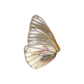 Wing