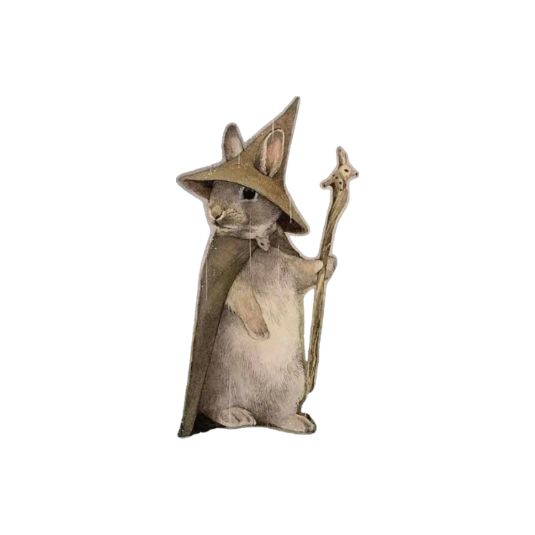 Wisdom Rabbit