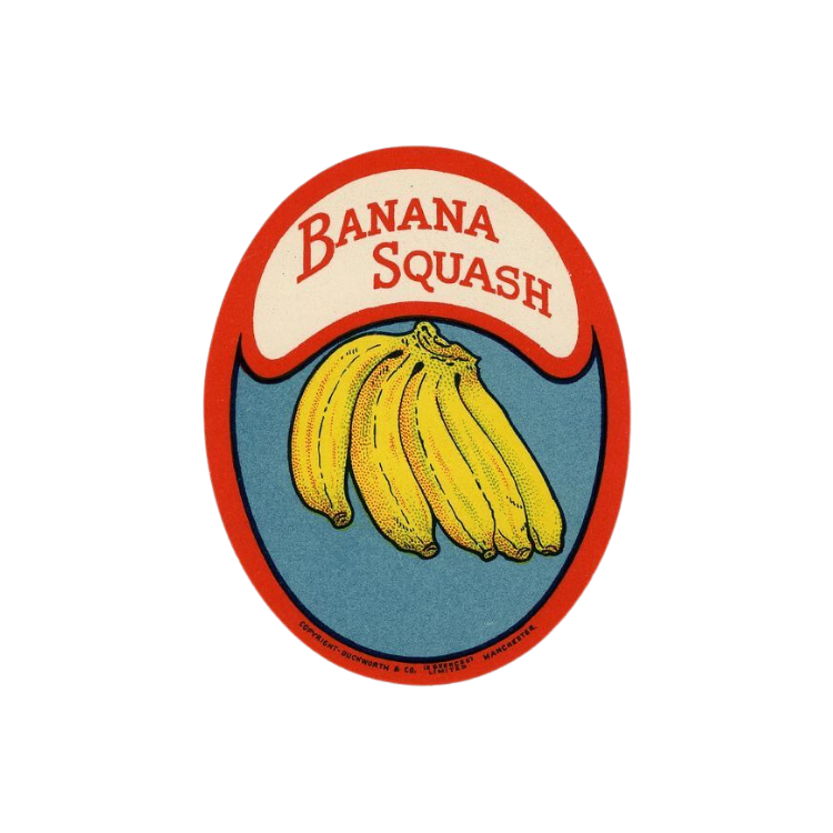 Banana Squash