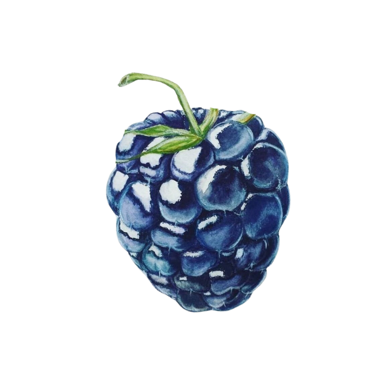 Berry