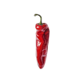 Red Chili