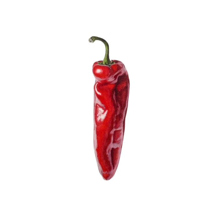 Red Chili