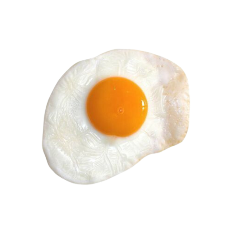 Egg