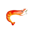 Shrimp Drink