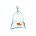 Fish Bag
