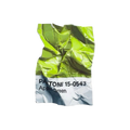 Green Pantone