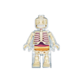 Skeleton