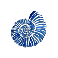 Blue Shell