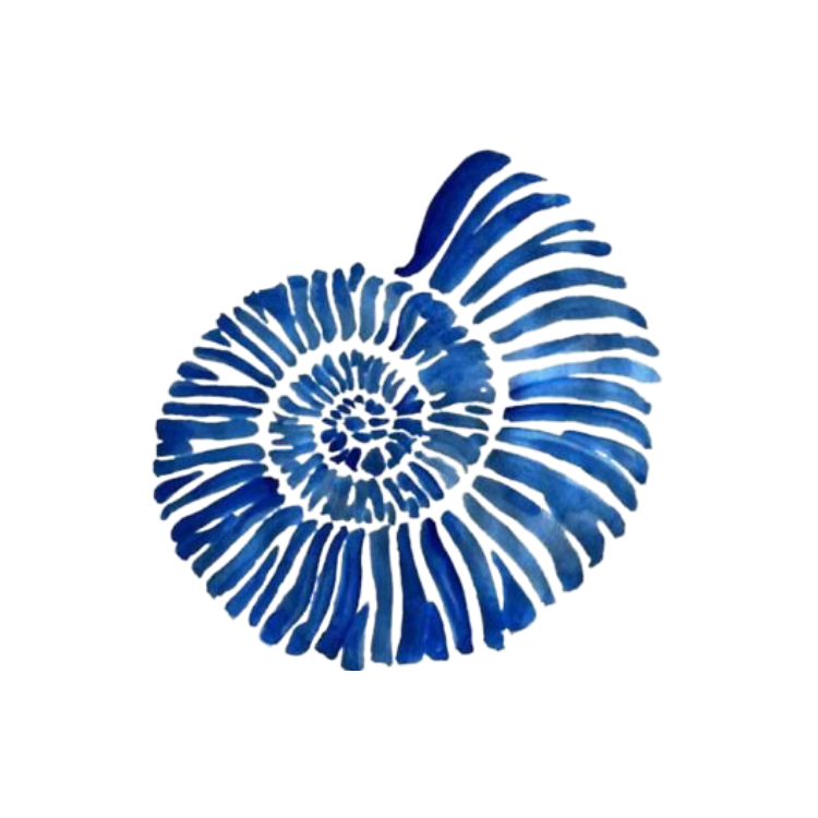 Blue Shell
