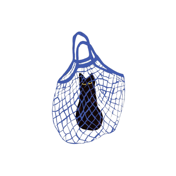 Cat Bag