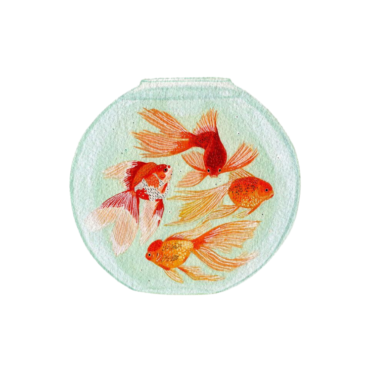 Fishbowl