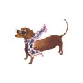 Hundchic