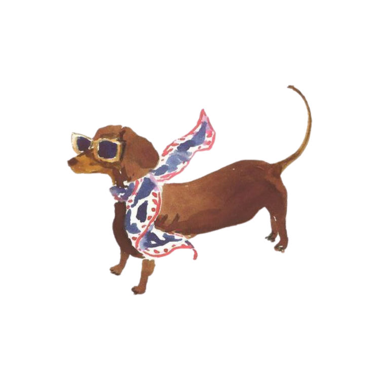 Hundchic