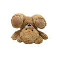 Playful Teddy