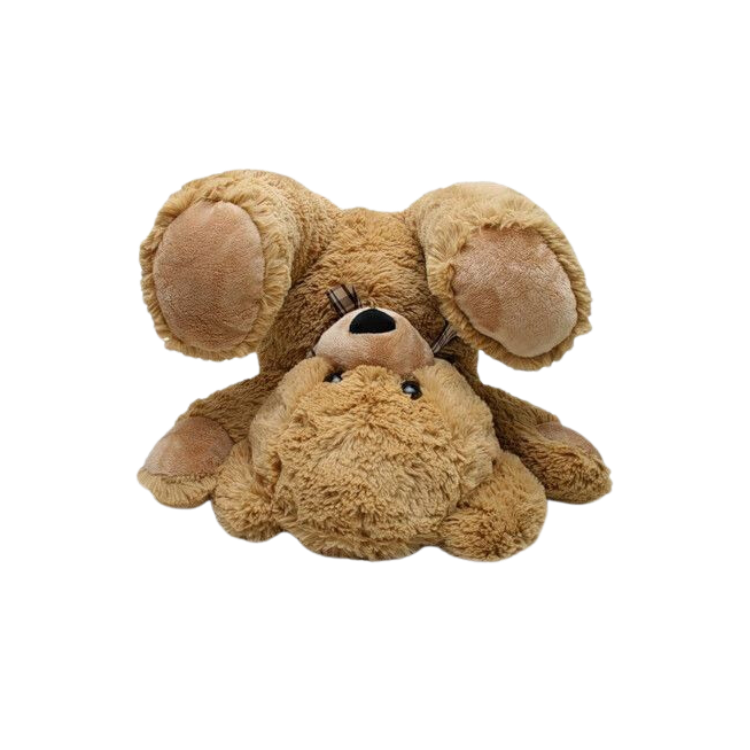 Playful Teddy