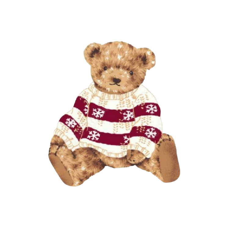 Sweater Bear