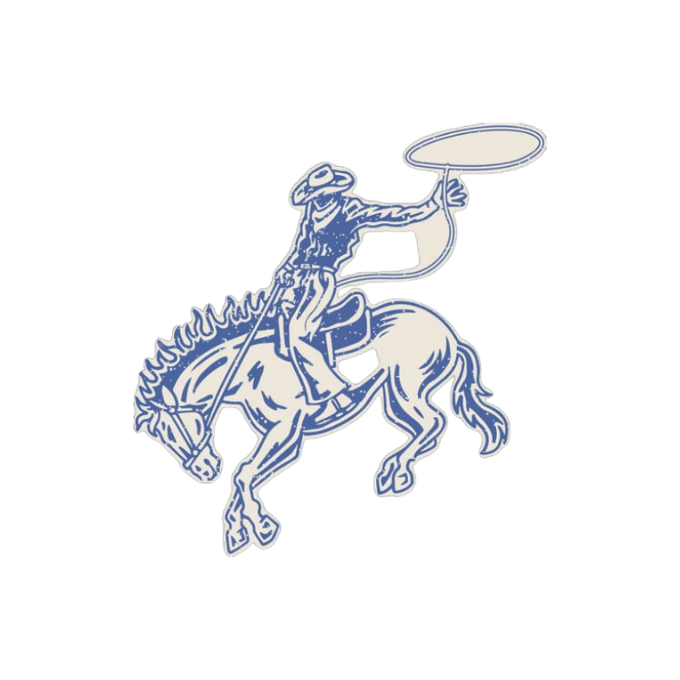 Rodeo Horse